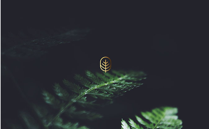 logo設計圖片